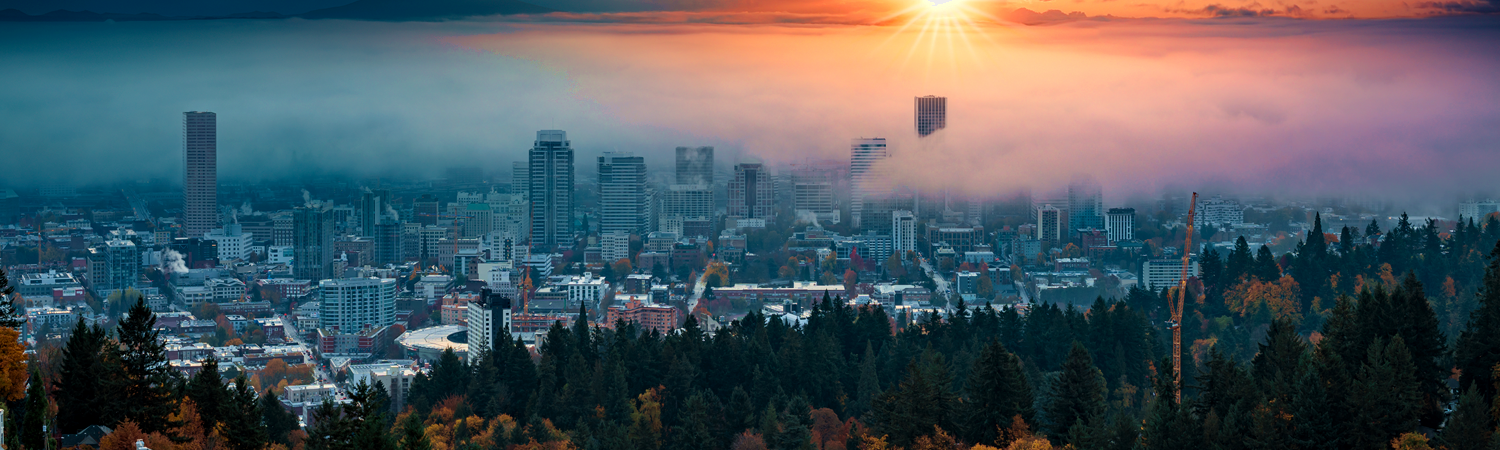 Banner image of Lloyd